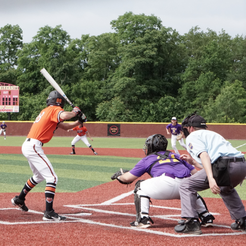 A baseball player in an orange jersey is at bat while the catcher in a purple jersey and an umpire observe. Players and greenery are in the background.