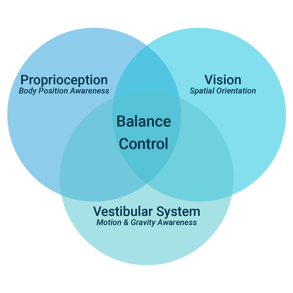 A Venn diagram illustrating the components of balance control. Three overlapping circles represent 'Proprioception' (Body Position Awareness), 'Vision' (Spatial Orientation), and 'Vestibular System' (Motion & Gravity Awareness). The overlapping center is labeled 'Balance Control,' showing the integration of these systems.